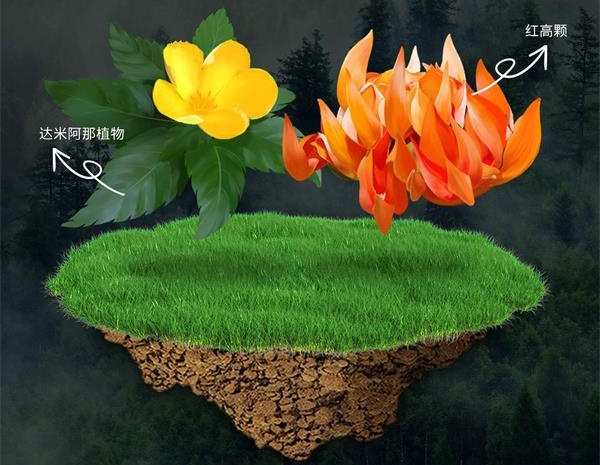 龙水新品上市长图文_03_看图王(1).jpg